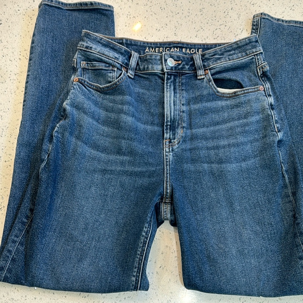 American Eagle Mom Jean 8 long